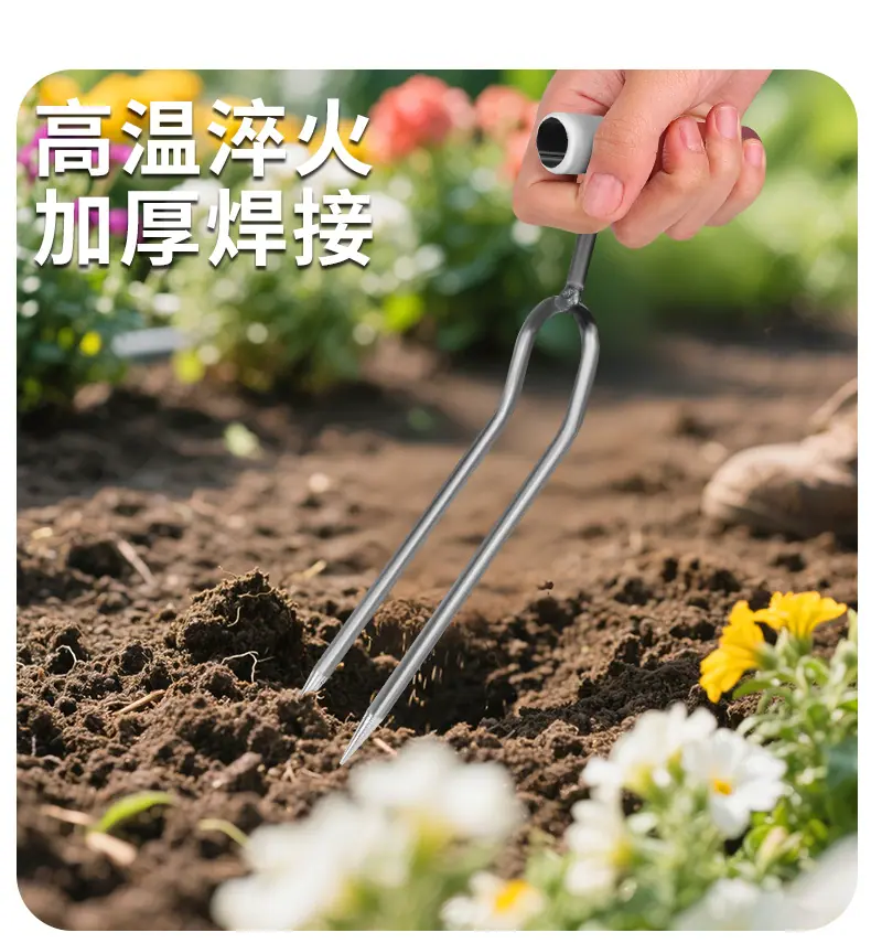 详情_10
