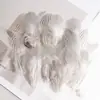 80 Tipos de Penas Naturais de Faisão, Penas Reais, Decorações Nativas Americanas, Acessórios DIY, Acessórios de Cabelo, Peças para Brinquedo de Vara para Gato