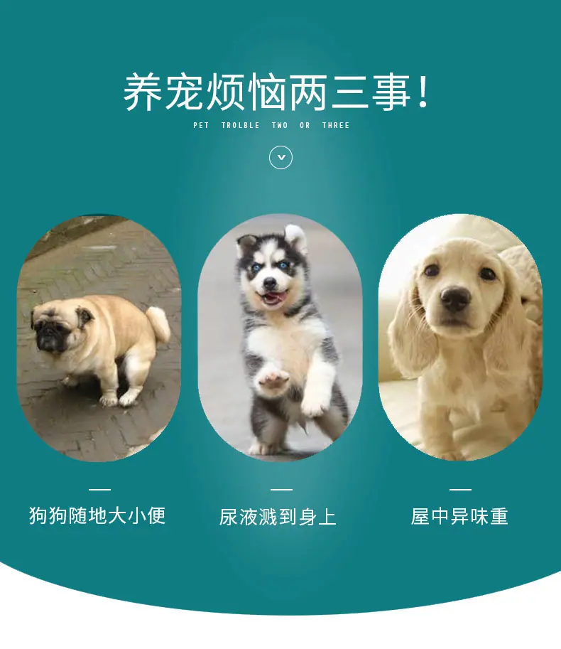 狗狗尿片_02
