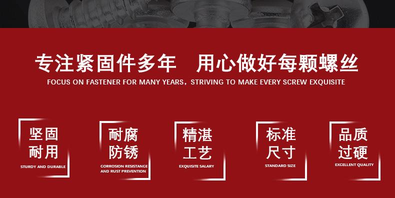 304圆头十字自攻钉详情_02.png