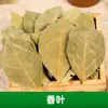 Colección completa de especias y condimentos, combinaciones autoseleccionadas, hojas de laurel pequeñas, anís estrellado para uso doméstico, angélica, adobo seco, condimento para estofar carne
