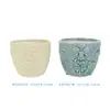 Maceta de Cerámica con Relieve Estilo Ins en Colores Macarrón con Diseños Vintage, Adecuada para Suculentas y Plantas Verdes, Decoración de Escritorio y Recipiente para Arreglos Florales