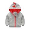 Masculino 'Casual Dinosaur Terry Coat 2021 Primavera Novo Europeu e Americano Crianças de manga comprida Cartoon Dinossauro Zipper Hoodie