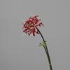 Casa Nórdica Flor Artificial Flor de Seda Flor Falsa Atacado Bianhua Arte Fotográfica Antiga Adereços para Fotos