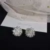 Brincos de Tarraxa Fogos de Artifício da Moda Personalidade Nicho Versátil Pérola Zircônia Brincos Novo Item Quente Celebridade da Internet Temperamento Brinco Agulha de Prata