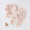 Conjunto de ropa de otoño para bebé, algodón puro, parte superior e inferior separadas, calidad Clase A, cintura alta, con tirantes en los hombros y con diseño de entrepierna abierta para abrigar