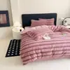 2026 Conejo de Iones Conejo Peluche Espeso Juego de Cama de Cuatro Piezas Dormitorio Cálido Juego de Cama de Felpa Fuente Dropshipping