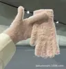 Guantes de Invierno Estilo Coreano Guantes de Imitación de Visón Nuevo Color Puro Dulce Estilo Ins Guantes de Felpa Cálidos Ciclismo Protección contra el Frío