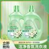 Detergente para ropa con aroma a camelia, 2 kg, para uso doméstico, color limpio, lavado a mano.