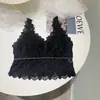 Renda de Verão Costas Bonitas Ultra-Fino Pequeno Alça Fina Roupa Íntima com Bojo Colete Tubinho Roupa Externa Sexy Envolto no Peito Íntimos para Mulheres