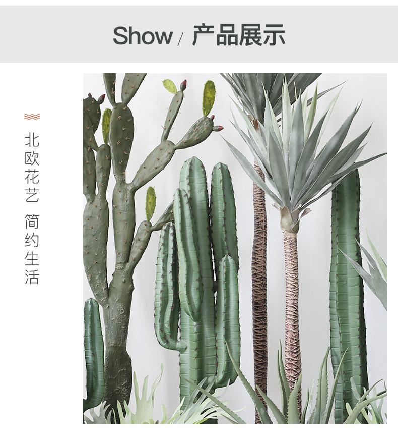 仿真仙人掌种盆系列_04.jpg