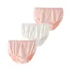 Roupa íntima infantil algodão cuecas de bebê roupa íntima de bebê meninos e meninas calça de triângulo pão caixa de três peças