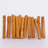 Hoja de flor seca espécimen madera de otoño hoja de árbol flor seca combinación anillo creación foto pintura decoración accesorios retro