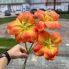 Tulipán de alta calidad con tacto de algodón de silicona, fabricantes de comercio exterior, 3 manos sosteniendo cara sonriente, tulipán, decoración de boda, flores artificiales