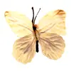 Cabeza de Flor de Mariposa de Goma Suave de Plástico, Decoración del Hogar con Flores Artificiales, Arreglo de Boda, Adornos al por Mayor, Decoración de Mesa para Exteriores