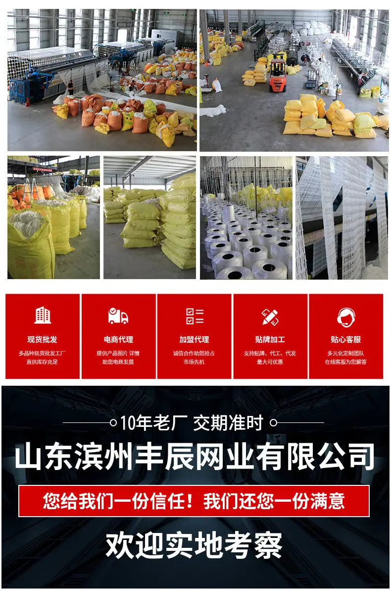 白网2