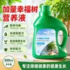 Solução Nutricional Concentrada Especializada para Árvore da Felicidade, Fertilizante Orgânico para Uso Doméstico para Plantas de Folha Verde, Plantas em Vasos, Cuidados com Flores, Líquido Universal Anti-Amarelamento de Folhas