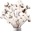 Flores Secas Flores Eternas Transfronterizas Serie Blanca Material Floral Cola de Conejo Pasto Joya Caña Caña Madera Caña Flores Secas Esponjosas Transfronterizas