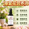 ¿Qué hacer si las flores de Begonia tienen hojas amarillentas, se marchitan, los capullos se caen, tienen manchas negras y no florecen, y cuál es la solución nutritiva promotora de floración especial y el fertilizante especial?