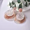 2026 Novos Brincos de Acrílico Estilo Ins Versáteis Elegantes Tarrachas de Orelha Femininas Moda Simples Acessórios de Orelha Design de Nicho
