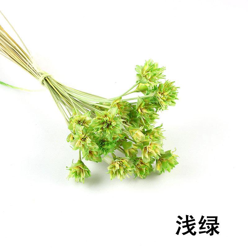 永生花浅绿.jpg
