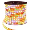 Tira de Luces LED de Dragón Chino Corriendo Modelo Nuevo 220V con Decoración de Atmósfera Colorida, Tira de Luz Suave de Ingeniería Impermeable para Exteriores Ultrabrillante
