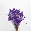 Flor Estrela Pequena Flores Secas Margarida Brasileira Flor Eterna Fragrância Flutuante Mini Flores Materiais Buquê de Batom Kit de Materiais DIY