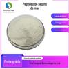 Peptídeo de pepino do mar 99% extrato de pepino do mar pequena molécula polipeptídeo em estoque frete grátis 100 g/saco