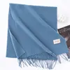 Cachecol de Cor Sólida, Estilo Coreano, Atmosférico, Inverno Feminino de Alta Qualidade Imitação de Caxemira, Xale Versátil para Outono e Inverno, Atacado Feminino
