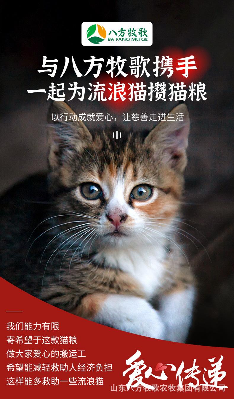 流浪猫粮详情页_02.jpg