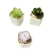 Zibo Florero de Vid Flor de Peonía Planta Flor de Vid Artificial Regalo del Día de la Madre Adorno de Escritorio Decoración de Coche Artesanía