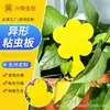 Tablero adhesivo con forma de flor para comercio exterior, tablero adhesivo, tablero amarillo, stick adhesivo azul para moscas, trampa para insectos, tablero adhesivo