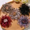 Estilo Retrô Hong Kong Malha com Estampa de Leopardo e Bolinhas Florais Clip de Garra DIY Clip Lateral Prendedor de Cabelo Acessório de Cabeça Broche Flores para Roupas