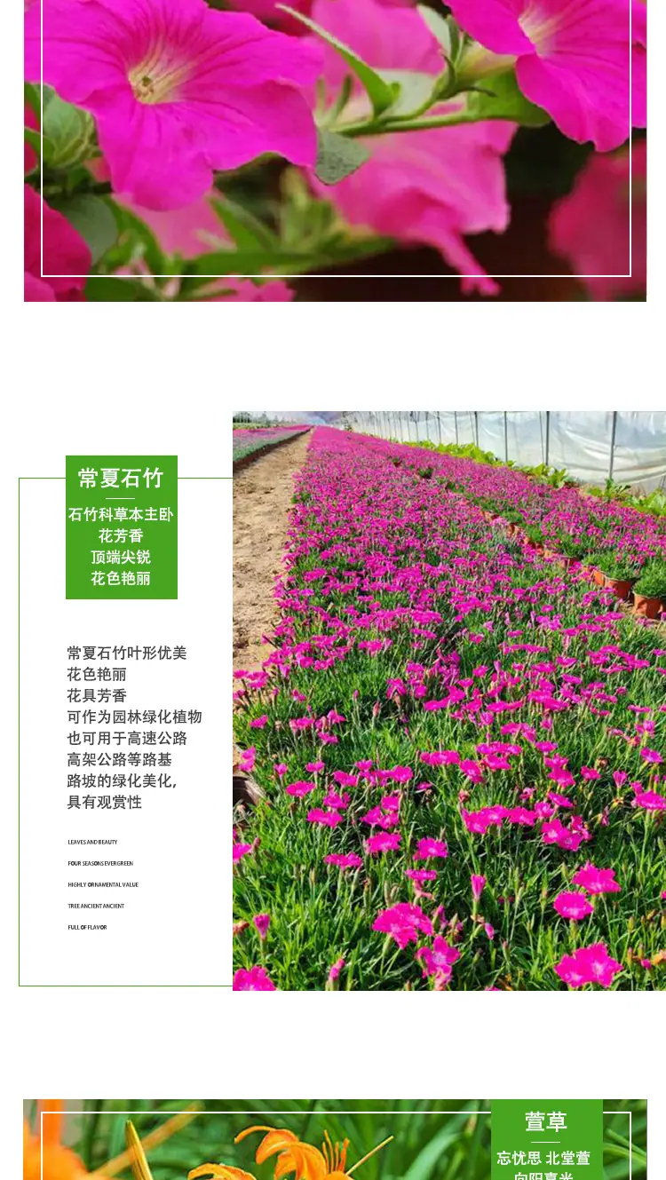 详情页_04