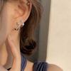 Aretes Aretes de Plata para Mujer 2025 Nuevos Aretes de Moda Temperamento Coreano Aretes de Celebridad de Internet Diseño Personalizado