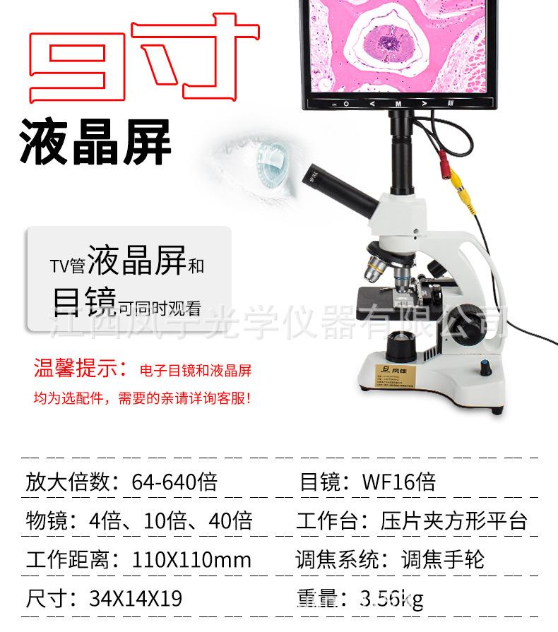 XSP-20XTV---1688_18.jpg