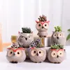 Dongheng Maceta de Animales Estilo Japonés y Coreano Maceta Mini Pulgar Adornos Set de Búho Cambio de Horno Maceta para Suculentas con Base