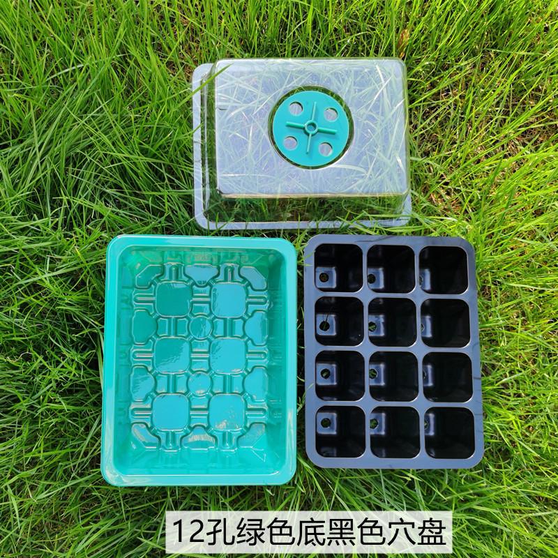 透气-12孔绿底黑色穴盘