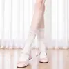Calcetines de encaje Lolita con lazo para primavera y otoño, calcetines de tubo blancos estilo ballet, calcetines de pantorrilla JK
