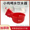 Bebedouro Automático para Aves: Pombos, Patos, Gansos e Frangos; Bebedouro Especial para Criação de Frangos; Novo Modelo