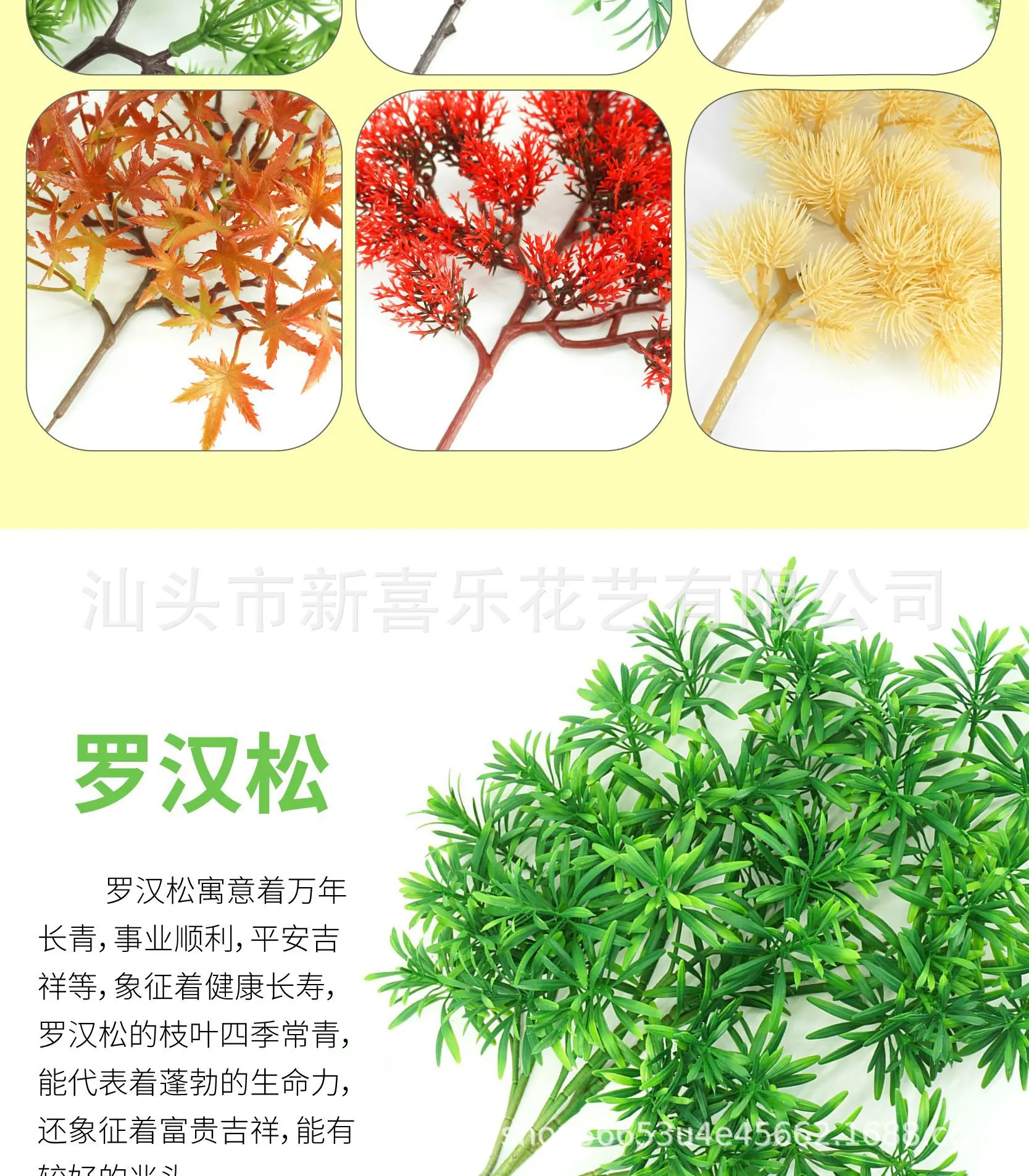 ]罗汉松详情页-08.jpg
