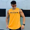Chaleco de Malla Transpirable de Secado Rápido para Fitness Muscular, Absorbe la Humedad, para Entrenamiento, Baloncesto, Deportivo, a la Moda, Camiseta sin Mangas para Hombre