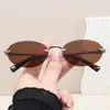 Gafas de Sol Pequeñas Ovaladas Versátiles Estilo Retro Coreano Y2K para Mujer con Acabado de Alta Gama, Gafas de Sol de Moda para Fotos de Xiaohongshu