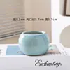 Maceta Pequeña para Suculentas con Patrón de Grietas de Hielo Cerámica Balcón Hogar Gres Grueso Transpirable Control de Raíces Terracota Maceta Especial Bandeja Pequeña para Flores