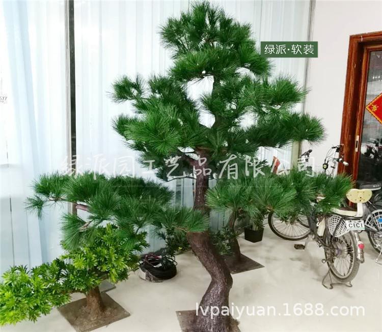 迎客松275.jpg