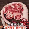 Colas de Vaca Recién Sacrificadas con Piel y Carne, Corte Entero de Ganado de Libre Pastoreo, Huesos de Res de Grado Comercial, Colas de Res Frescas con Carne