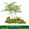 Série Paisagem de Expressão Idiomática de Quatro CaracteresCombinação de Plantas Verdes Artificiais para Paisagismo Decoração de Vitrine Interna