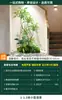 Simulación Plantas Verdes Paisajismo Combinación Decoración Plantas Falsas Patio Exhibición en Ventana Arreglo Paisaje Interior Árbol de Atmósfera