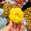 Kiwi Beleza Dourada de Pujiang, Sichuan - disponível para dropshipping em embalagens de 6/10/15/20/24/30 unidades; fruta de kiwi fresca, com polpa amarela