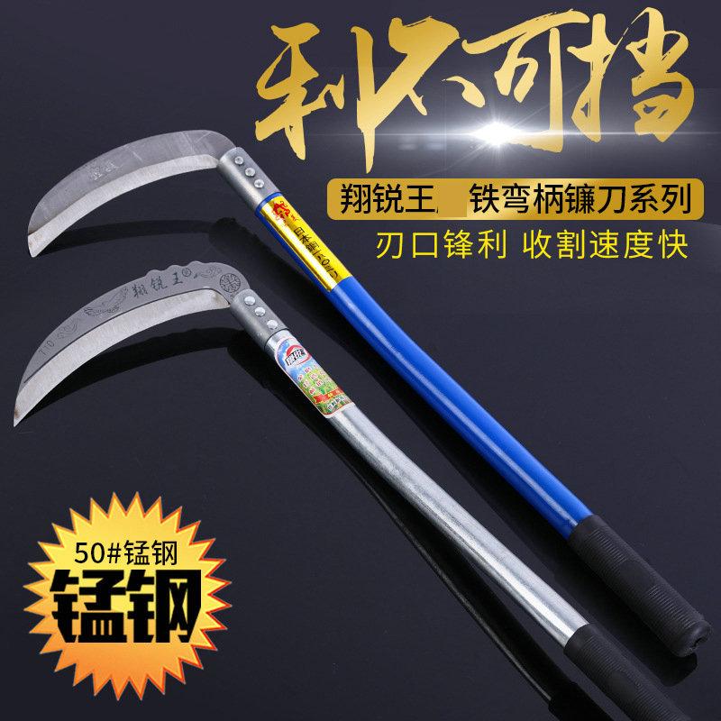 4841502753_251758656